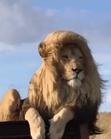 When you shampoo your hair in funny gifs