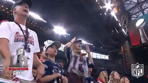 Super Bowl 51 Sports Fans GIF by NFL - Find & Share on GIPHY
