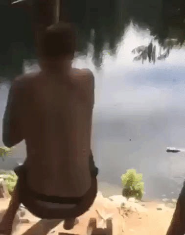 giphy.gif