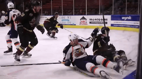 Hockey Fall GIF by Greenville Swamp Rabbits