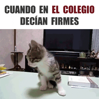 imagenes gif,imagenes graciosas, las mejores imagenes, imagenes graciosas, chistes, risas