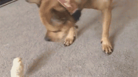 Attitude Matters best Gif