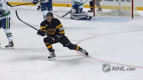 Ice Hockey Fist Pump GIF by NHL - Find & Share on GIPHY