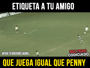 imagenes gif,imagenes graciosas, las mejores imagenes, imagenes graciosas, chistes, risas