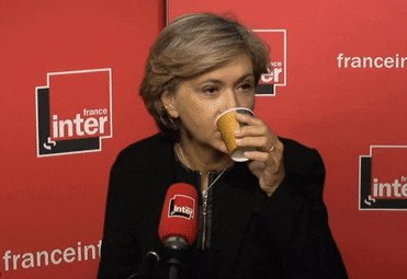 Valerie Pecresse Wtf GIF by franceinfo - Find & Share on GIPHY