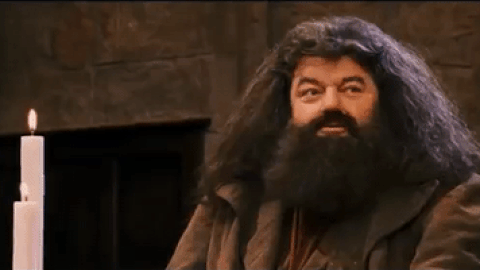 Yes Hagrid