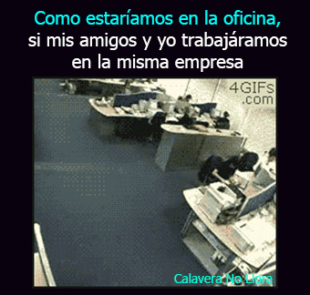 imagenes gif,imagenes graciosas, las mejores imagenes, imagenes graciosas, chistes, risas