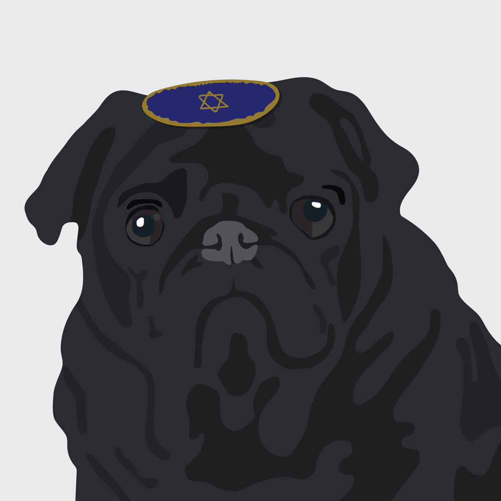 Dog Pug GIF by Julie Winegard - Find & Share on GIPHY