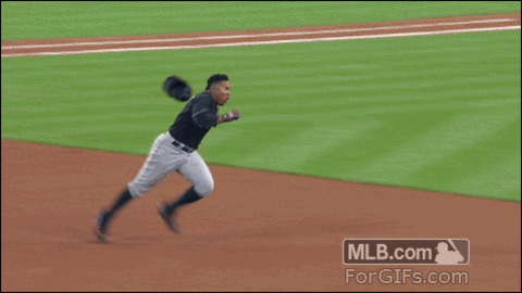 Perfect best Gif