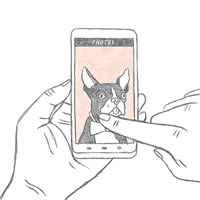 Gif of scrolling dog photos on a smartphone