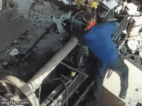 200w.gif