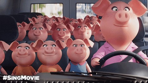 Sing Movie GIF - Find & Share on GIPHY