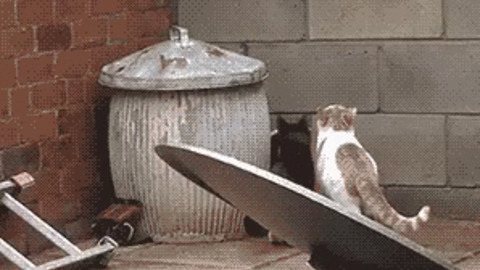 Discipline! best Gif