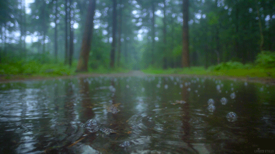 rain clipart gif - photo #38