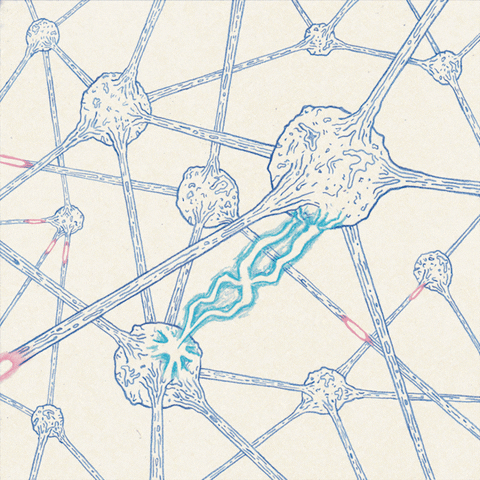 Pink og blå Loop GIF af palerlotus-Find Del på GIPHY