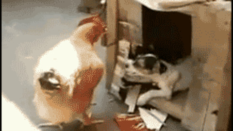 You Chick Come Inside Funny Gif