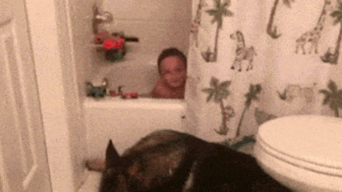 Towel Please best Gif