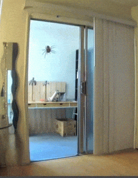 Самые жуткие и неожиданные и смешные розыгрыши, устроенные на Хэллоуин хэллоуиновские розыгрыши, розыгрыши на Хэллоуин, страшные розыгрыши, неожиданные розыгрыши