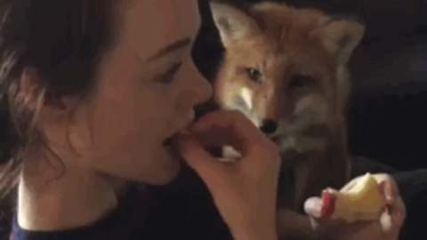 One bite best Gif