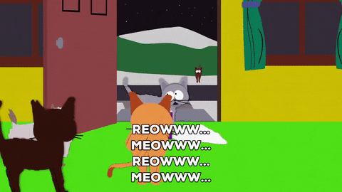 Meowing Kenny Mccormick GIF by South Park 
