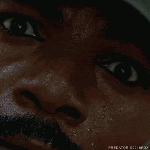 Arnold Schwarzenegger Predator Gif By Foxhorror Find Share On Giphy