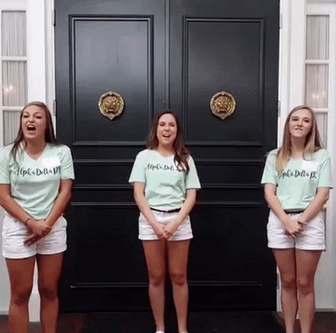 Rush Sorority Girls GIF by Alex Bedder - Find & Share on GIPHY