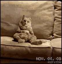 GIF by Demic - Find &amp; Share on GIPHY