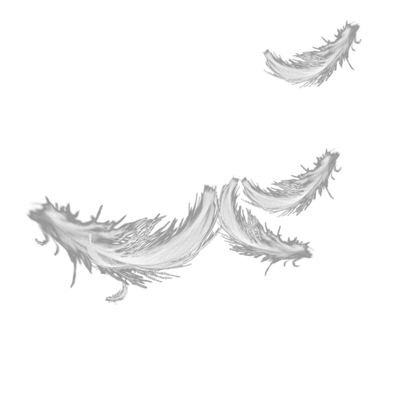 Swan Lake Dance Sticker by New York City Center for iOS & Android GIPHY