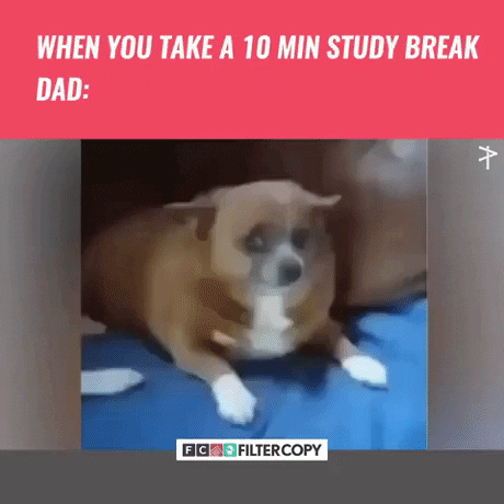 Dads be like in funny gifs