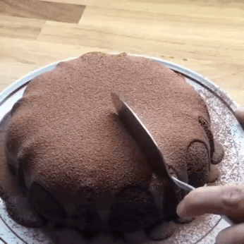 Need A slice Of This Cake in funny gifs