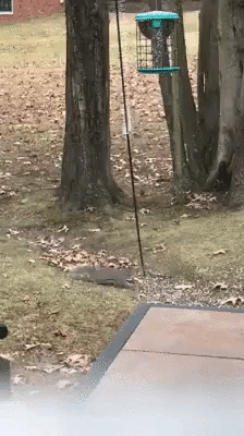 гениальные лайфхаки, лайфхаки для повседневной жизни, полезные лайфхаки, лайфхаки на лето