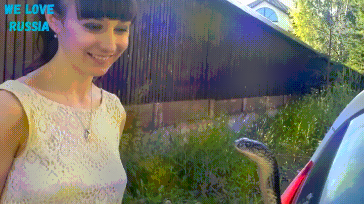 Fuck the twerk team mobile porn XXX Animated gif find share on giphy-2378