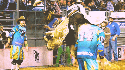 Rodeohouston GIFs - Find & Share on GIPHY Rodeohouston GIFs - Find & Share on GIPHY
