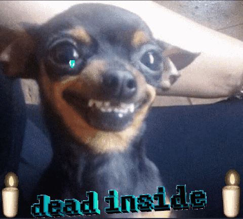 Dead Inside GIFs - Find & Share on GIPHY