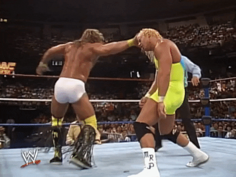 Image result for wwf summerslam 1990 GIF