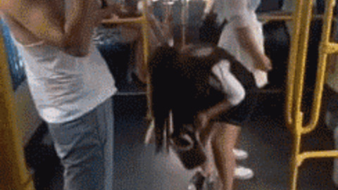 No No No It's Public best Gif