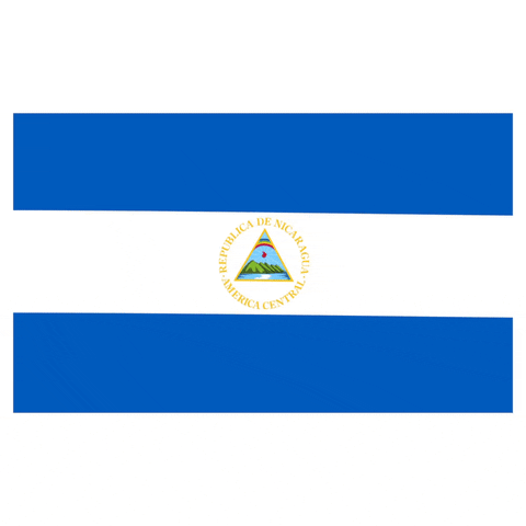 Flag GIF by Latinoji