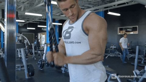 SEARCH AND BUY THIS PRODUCT Muscles GIF by Bodybuilding.com - Find & Share on GIPHY
