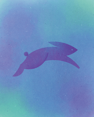 13 животных из 13 кругов,Дорота Панковска, Dorota Pankowska, 