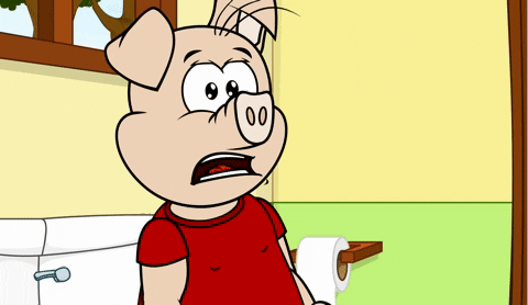 Scared Pig GIF by Estudios Animeco - Find & Share on GIPHY