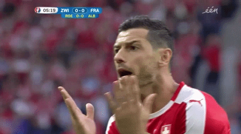 Euro 2016 Please GIF by Sporza