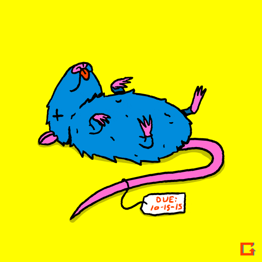 Library Rat GIF by Jared D. Weiss Find & Share on GIPHY