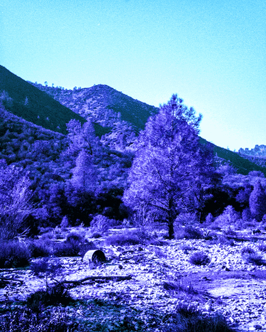 Film Analog GIF by Doctor Popular