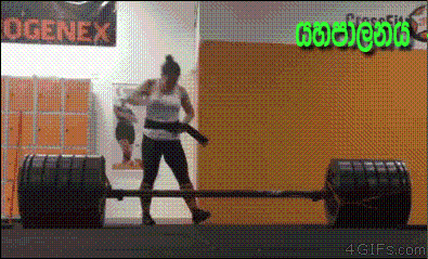 giphy.gif
