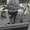 Fish Fail GIF by America's Funniest Home Videos - Find ...