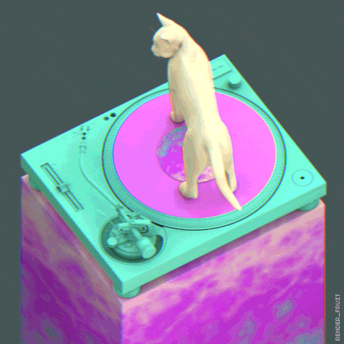 Cat Loop GIF by renderfruit