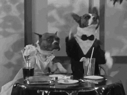 Short Hot Dog GIF by Warner Archive - Find & Share on GIPHY