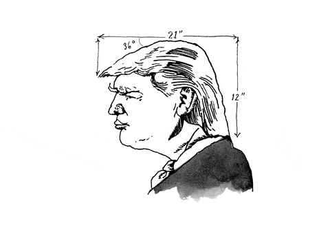 The New Yorker illustration trump donald trump new yorker