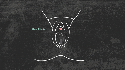Resultado de imagen para gif clitoris