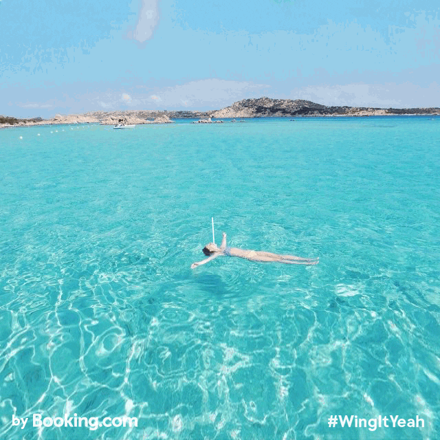 Beach Swimming GIF by Find & Share on GIPHY